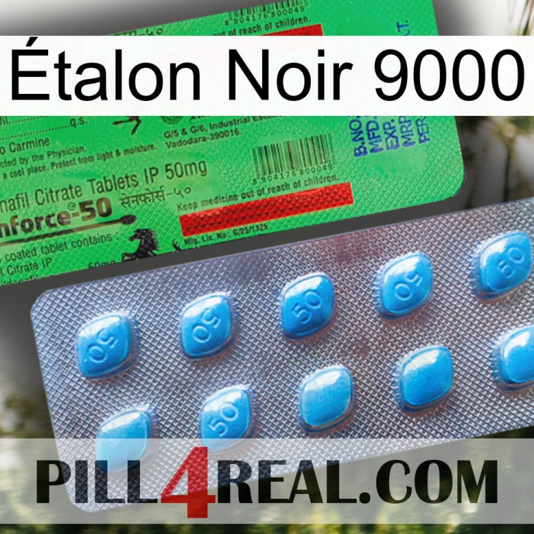 Étalon Noir 9000 new03